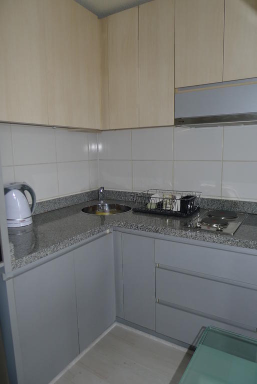Chilean Suites And Apartment Santiago del Cile Esterno foto